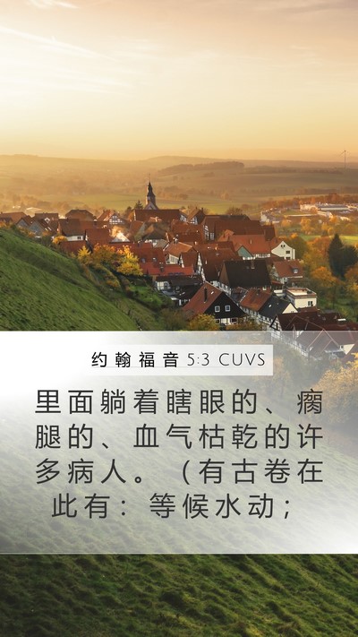 约 翰 福 音 5:3 CUVS Bible Verse Image