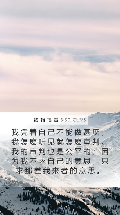 约 翰 福 音 5:30 CUVS Bible Verse Image