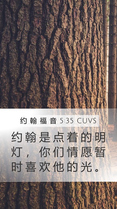 约 翰 福 音 5:35 CUVS Bible Verse Image