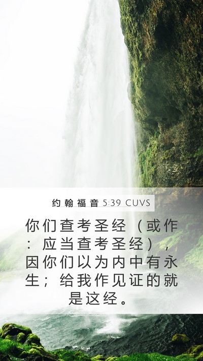 约 翰 福 音 5:39 CUVS Bible Verse Image