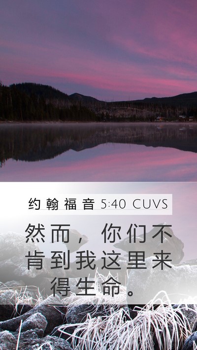 约 翰 福 音 5:40 CUVS Bible Verse Image