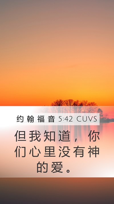 约 翰 福 音 5:42 CUVS Bible Verse Image