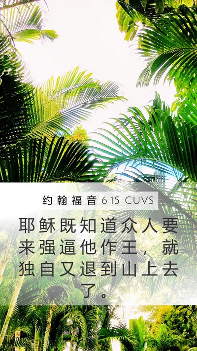 约 翰 福 音 6:15 CUVS Bible Verse Image