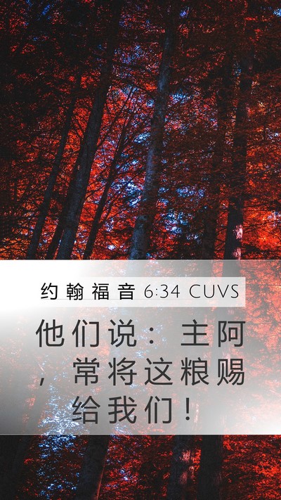 约 翰 福 音 6:34 CUVS Bible Verse Image