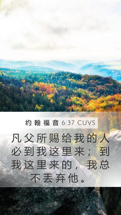 约 翰 福 音 6:37 CUVS Bible Verse Image
