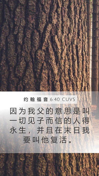 约 翰 福 音 6:40 CUVS Bible Verse Image