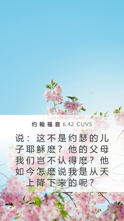 约 翰 福 音 6:42 CUVS Bible Verse Image