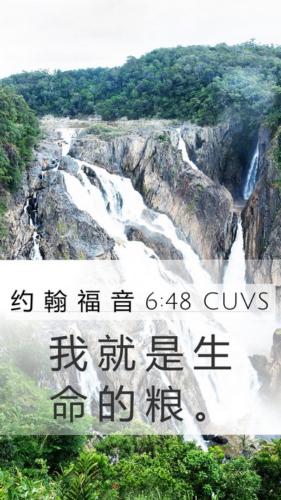 约 翰 福 音 6:48 CUVS Bible Verse Image