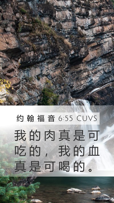 约 翰 福 音 6:55 CUVS Bible Verse Image