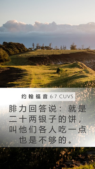 约 翰 福 音 6:7 CUVS Mobile Phone Wallpaper - 腓 力 回 答 说 ： 就 是 二 十 两 银 - Mobile Bible Verse Wallpaper