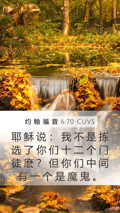 约 翰 福 音 6:70 CUVS Bible Verse Image