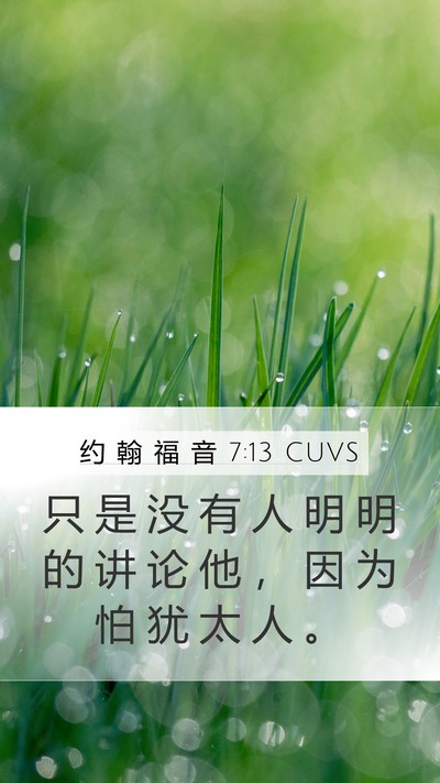 约 翰 福 音 7:13 CUVS Mobile Phone Wallpaper - 只 是 没 有 人 明 明 的 讲 论 他 ， - Mobile Bible Verse Wallpaper