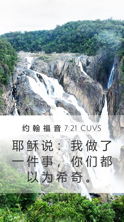 约 翰 福 音 7:21 CUVS Bible Verse Image