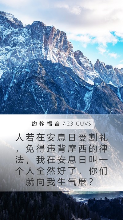 约 翰 福 音 7:23 CUVS Bible Verse Image