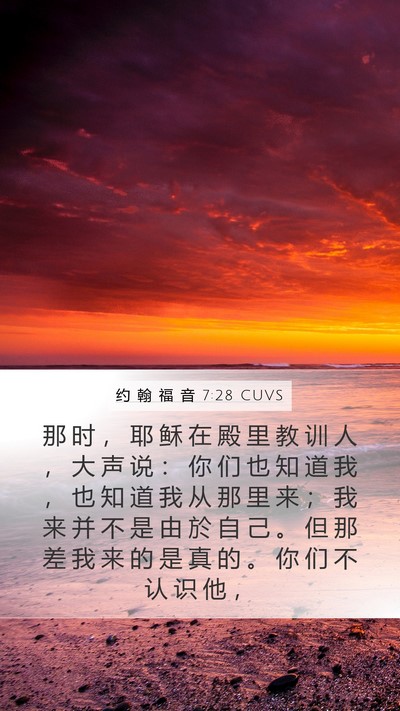约 翰 福 音 7:28 CUVS Bible Verse Image