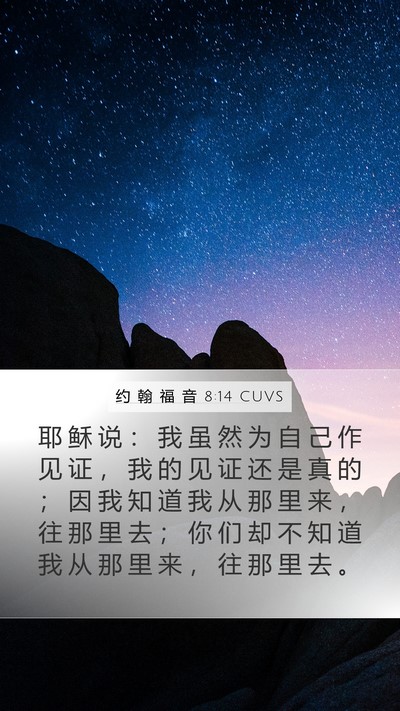 约 翰 福 音 8:14 CUVS Bible Verse Image