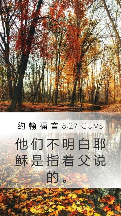 约 翰 福 音 8:27 CUVS Mobile Phone Wallpaper - 他 们 不 明 白 耶 稣 是 指 着 父 说 - Mobile Bible Verse Wallpaper