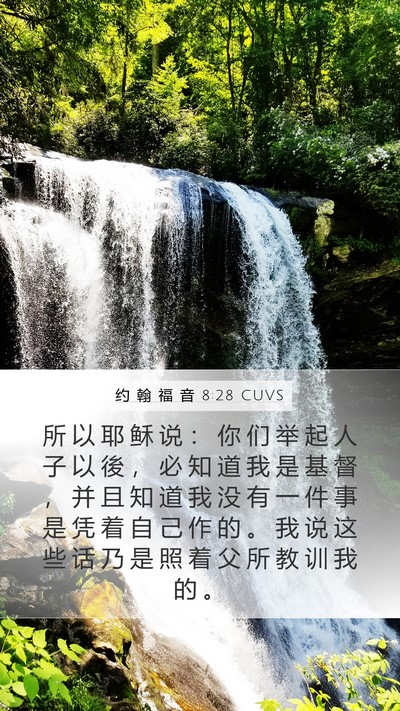 约 翰 福 音 8:28 CUVS Bible Verse Image