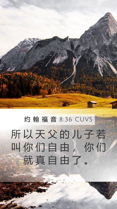 约 翰 福 音 8:36 CUVS Bible Verse Image