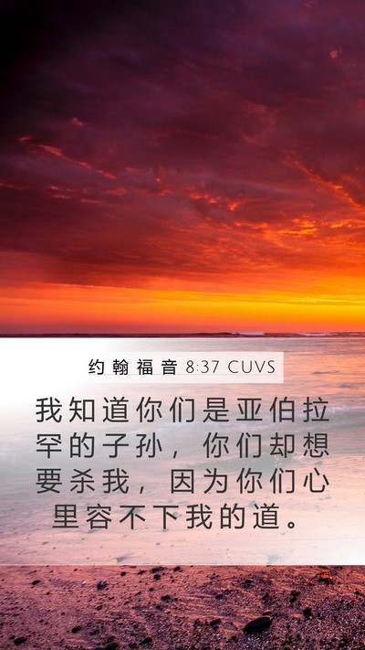 约 翰 福 音 8:37 CUVS Bible Verse Image