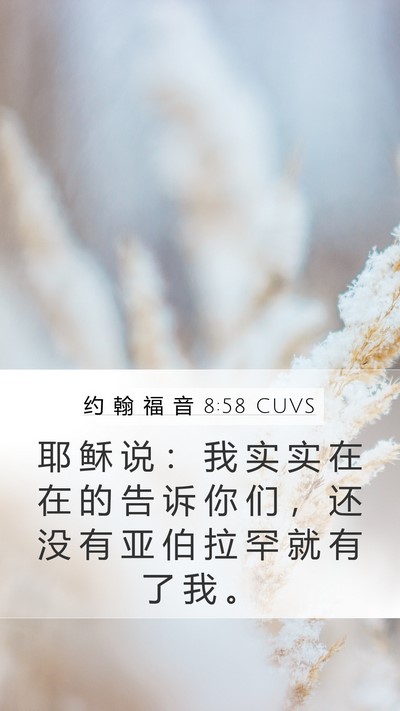 约 翰 福 音 8:58 CUVS Bible Verse Image