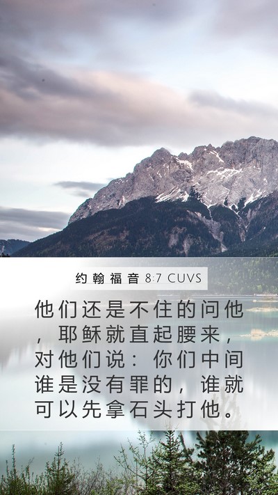 约 翰 福 音 8:7 CUVS Bible Verse Image