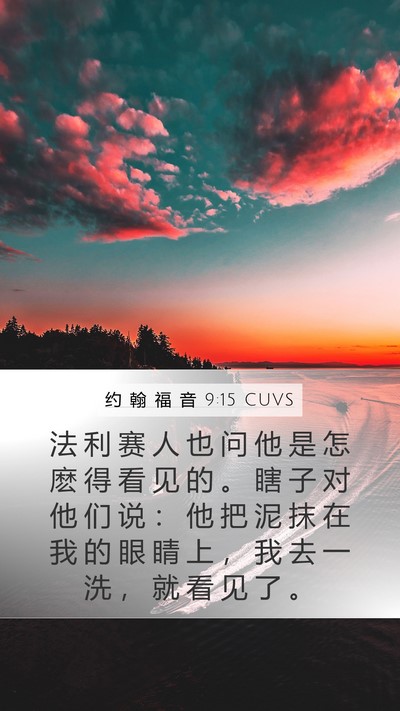 约 翰 福 音 9:15 CUVS Bible Verse Image