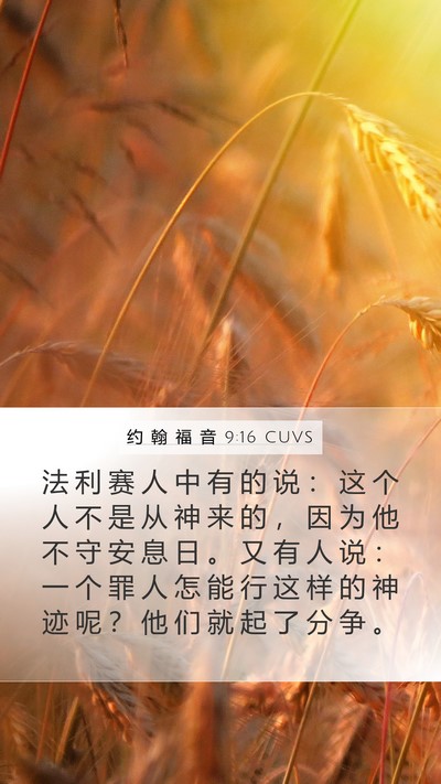 约 翰 福 音 9:16 CUVS Bible Verse Image