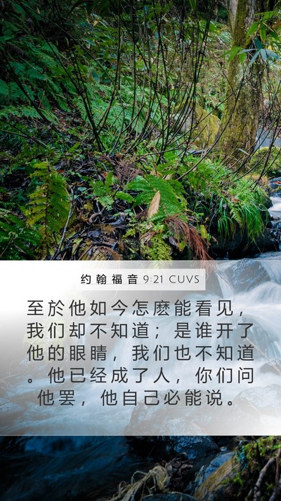 约 翰 福 音 9:21 CUVS Bible Verse Image