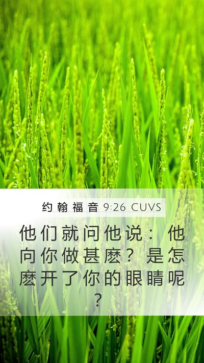 约 翰 福 音 9:26 CUVS Bible Verse Image