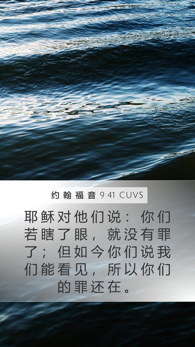约 翰 福 音 9:41 CUVS Bible Verse Image