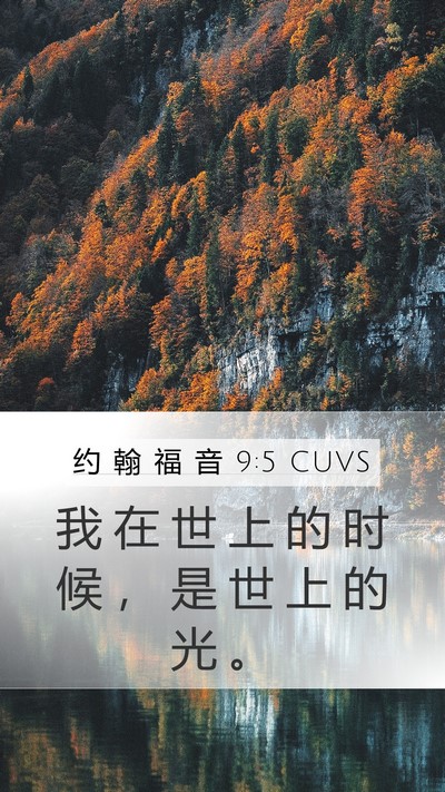 约 翰 福 音 9:5 CUVS Bible Verse Image