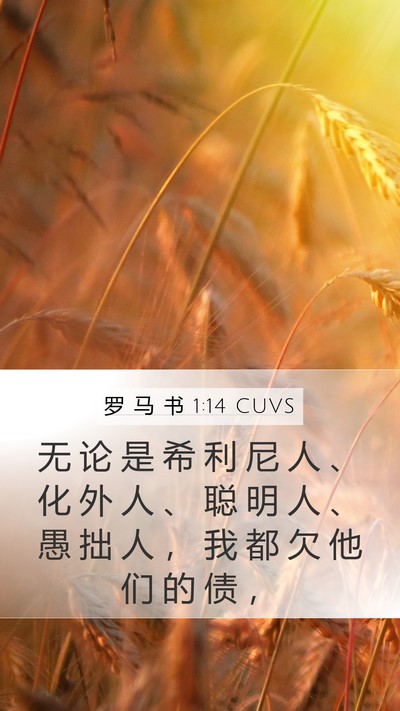 罗 马 书 1:14 CUVS Mobile Phone Wallpaper - 无 论 是 希 利 尼 人 、 化 外 人 、 - Mobile Bible Verse Wallpaper