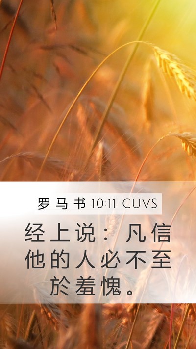 罗 马 书 10:11 CUVS Bible Verse Image