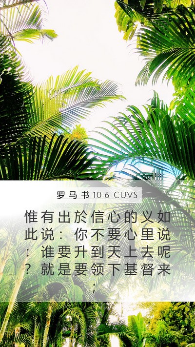 罗 马 书 10:6 CUVS Bible Verse Image