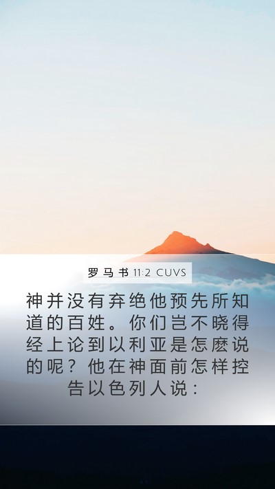 罗 马 书 11:2 CUVS Bible Verse Image