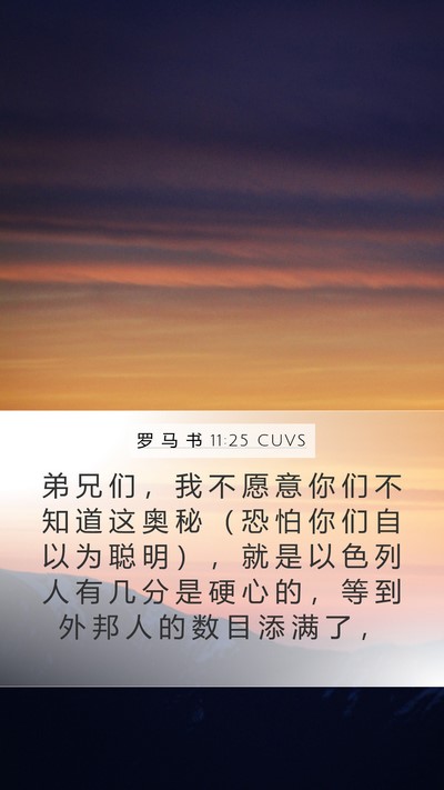 罗 马 书 11:25 CUVS Bible Verse Image