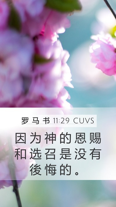 罗 马 书 11:29 CUVS Bible Verse Image