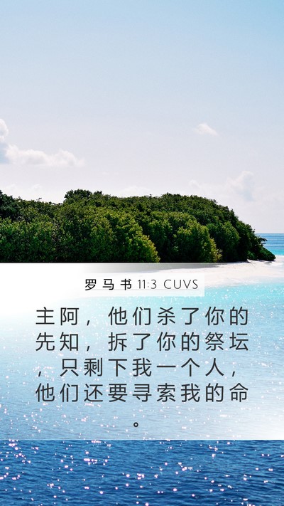 罗 马 书 11:3 CUVS Bible Verse Image