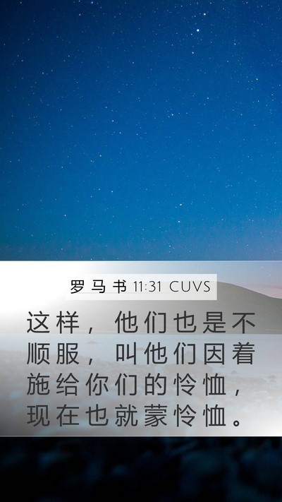 罗 马 书 11:31 CUVS Bible Verse Image