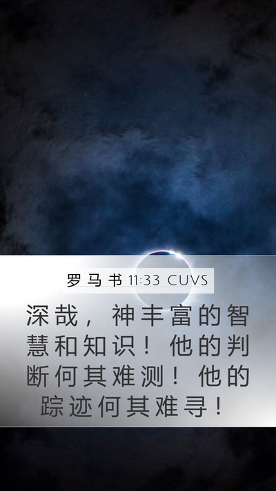 罗 马 书 11:33 CUVS Bible Verse Image