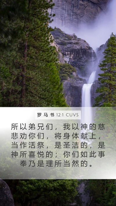 罗 马 书 12:1 CUVS Bible Verse Image