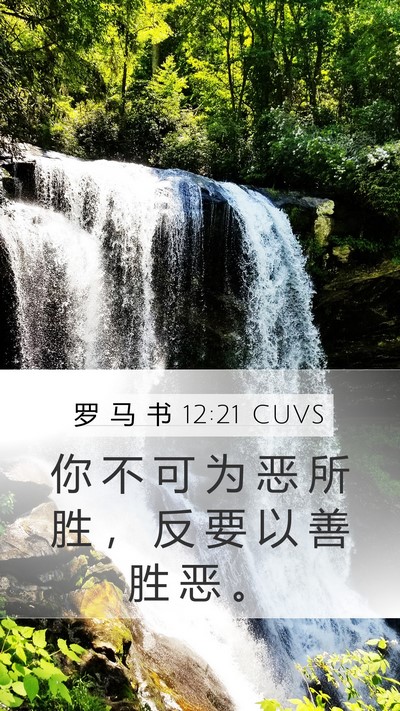 罗 马 书 12:21 CUVS Bible Verse Image