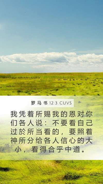 罗 马 书 12:3 CUVS Bible Verse Image
