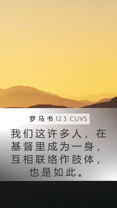 罗 马 书 12:5 CUVS Mobile Phone Wallpaper - 我 们 这 许 多 人 ， 在 基 督 里 成 - Mobile Bible Verse Wallpaper