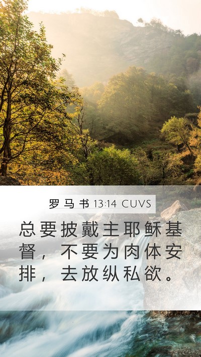 罗 马 书 13:14 CUVS Bible Verse Image