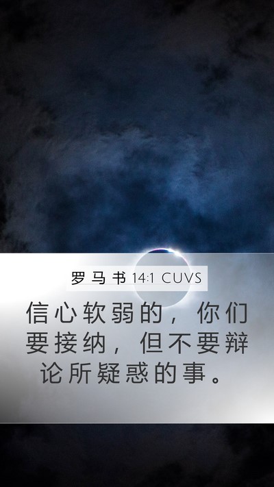 罗 马 书 14:1 CUVS Bible Verse Image