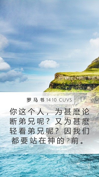 罗 马 书 14:10 CUVS Bible Verse Image
