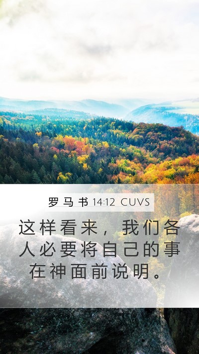 罗 马 书 14:12 CUVS Bible Verse Image