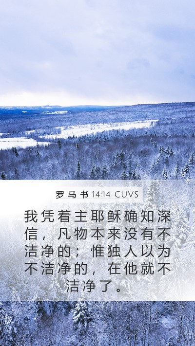 罗 马 书 14:14 CUVS Bible Verse Image